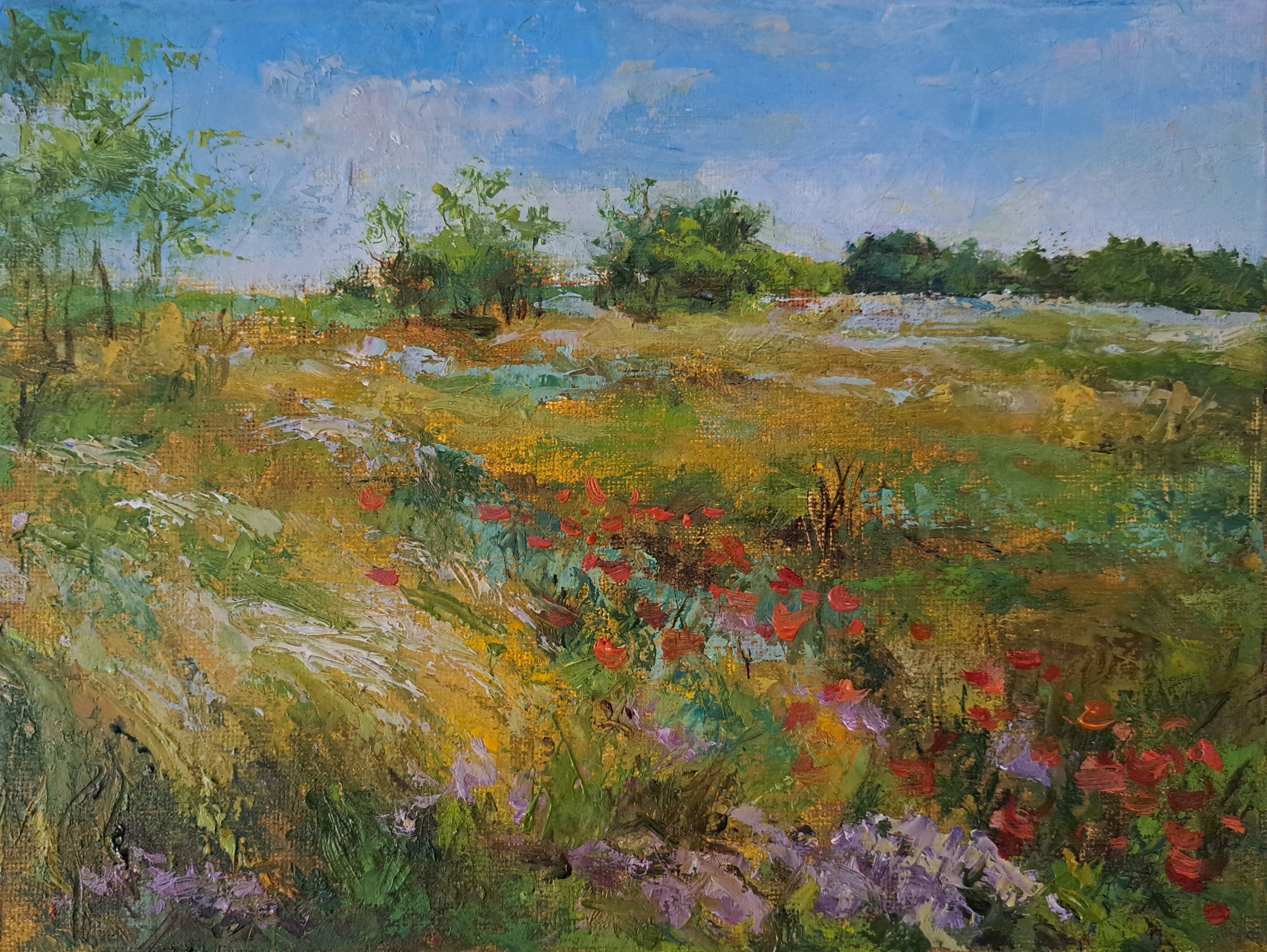 Spring Meadow