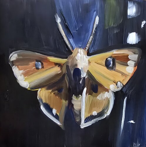 Moth by Mark Dingemanse, Painting for Sale on Select