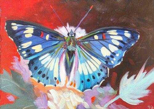 Wings of Wonder von Mark Dingemanse, Malerei kaufen auf Select