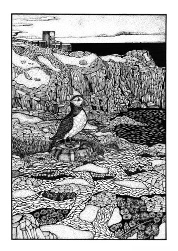 Guernsey | Puffin at Pleinmont Tower by Natasha K. He, Drawing for Sale on Select