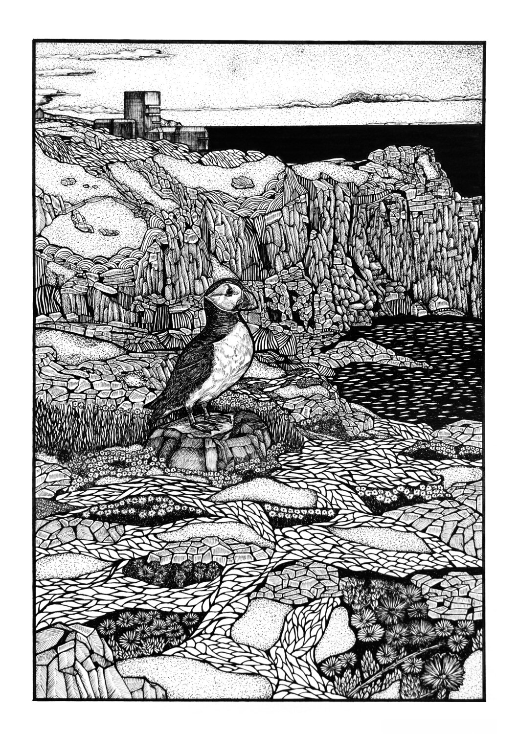 Guernsey | Puffin at Pleinmont Tower Natasha K. He Drawing for sale