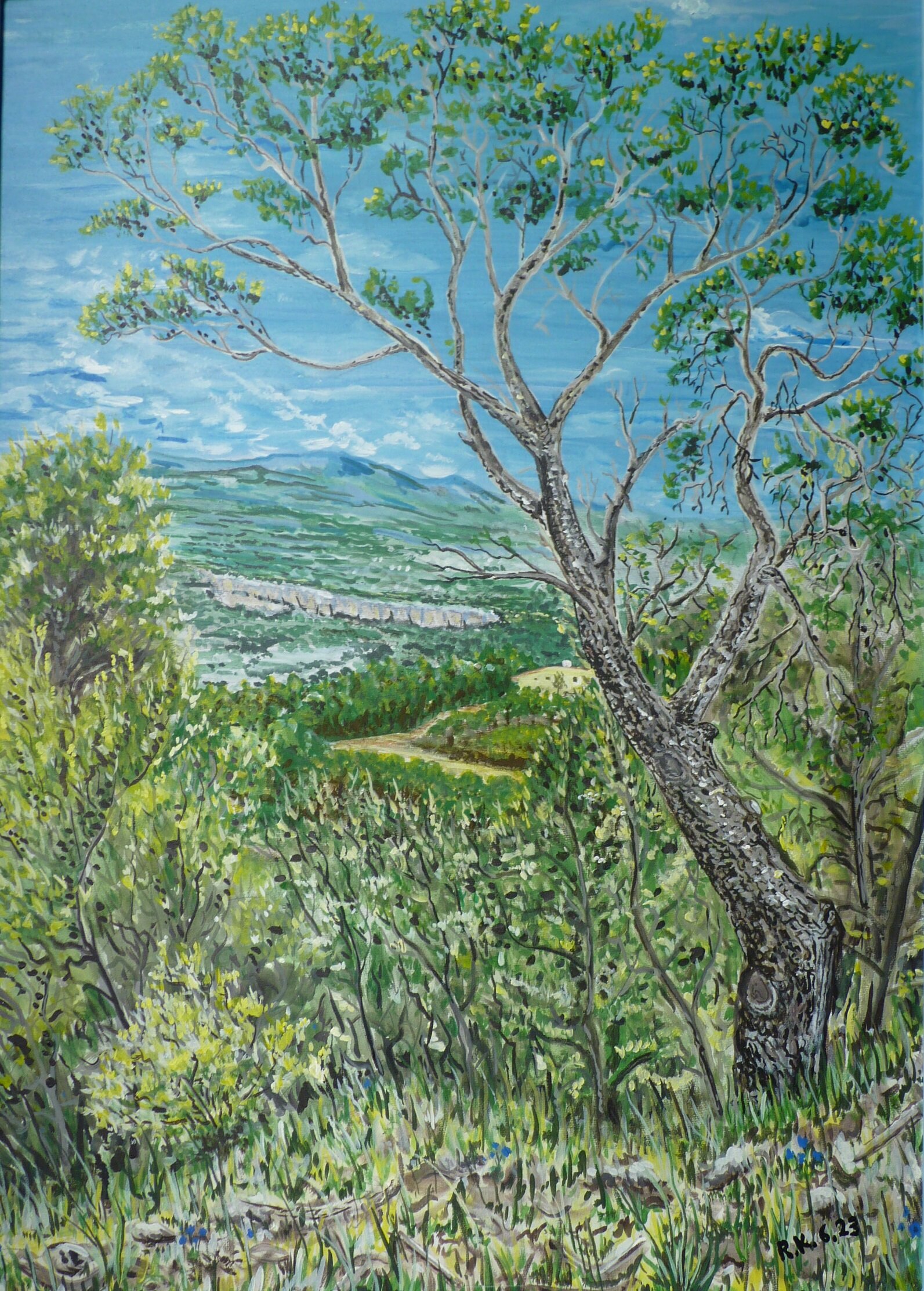 Provence, Muers