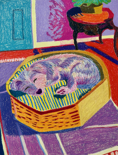 Nap Time by Alina Timoshenko, Drawing for Sale on Select
