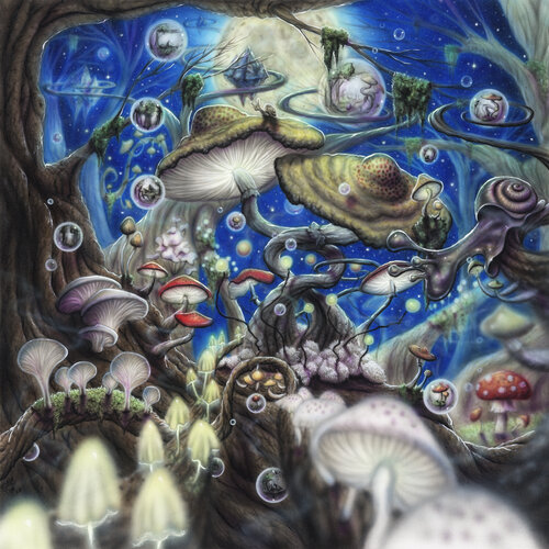 Mushroomland by Tim Randall, Painting for Sale on Select