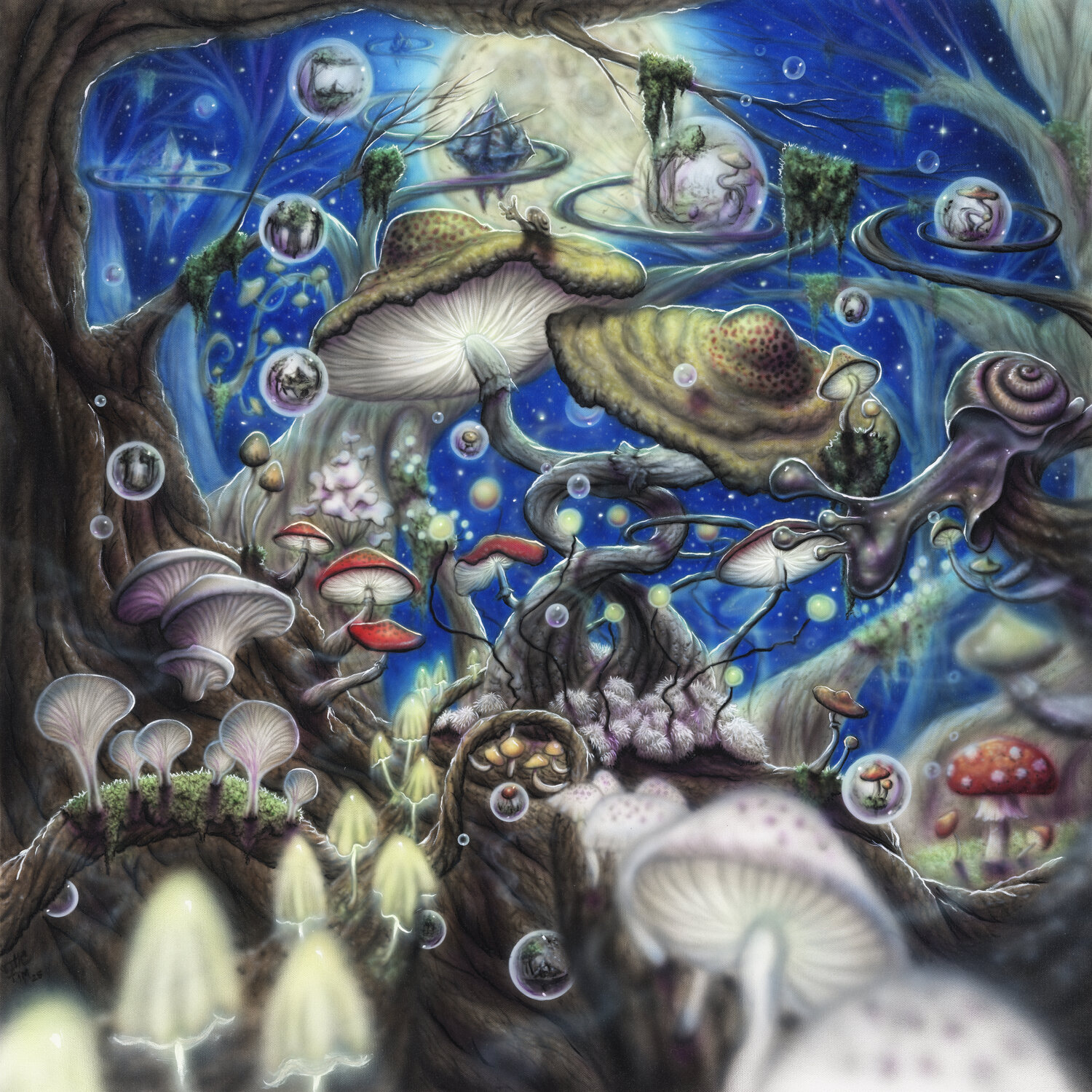 Mushroomland Tim Randall Original painting for sale