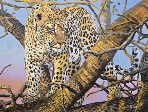 L'heure fauve. by Pierre-Yves Blasco, Painting for Sale on Select