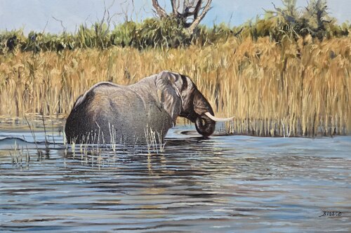 Eléphant de l'Okavango by Pierre-Yves Blasco, Painting for Sale on Select