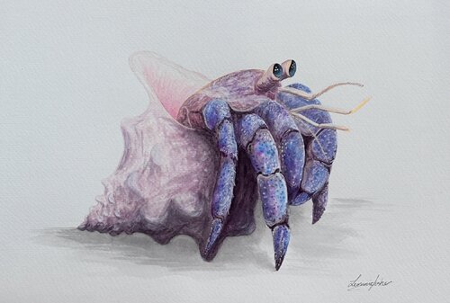 Tide Wanderer by Leonnie Fisher, Painting for Sale on Select