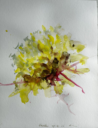 Distel – Der Wind hat sie gebracht II by Jürgen Meier, Painting for Sale on Select