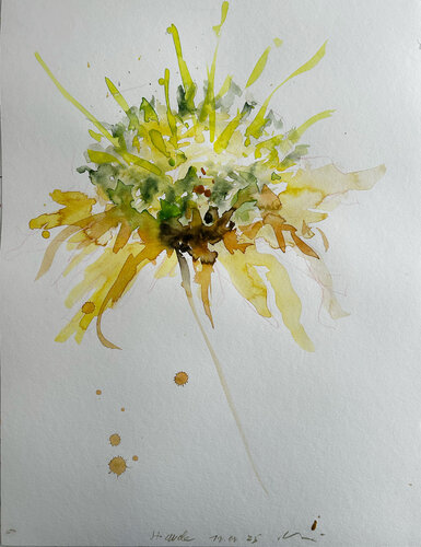 Distel – Der Wind hat sie gebracht III by Jürgen Meier, Painting for Sale on Select