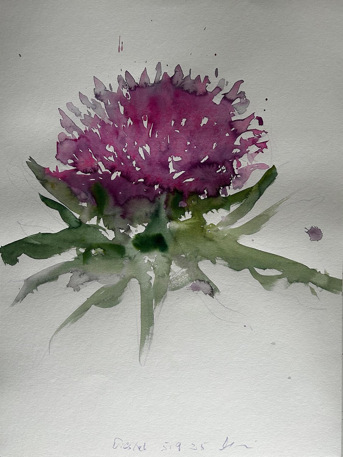 Purpur Distel – Der Wind hat sie gebracht Jürgen Meier Original painting for sale