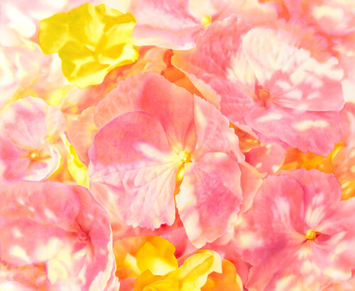 In the Sunlit Shade by Natalie Gzoim, Painting for Sale on Select
