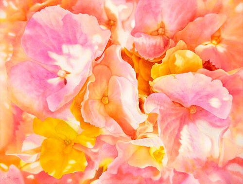 Endless Summer - Large-Scale Hydrangea Flower Art by Natalie Gzoim, Painting for Sale on Select