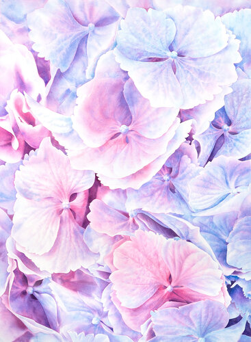 Softly Held by Natalie Gzoim, Painting for Sale on Select