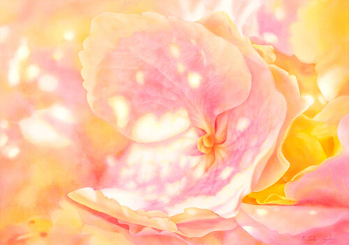 Honeyed Light by Natalie Gzoim, Painting for Sale on Select
