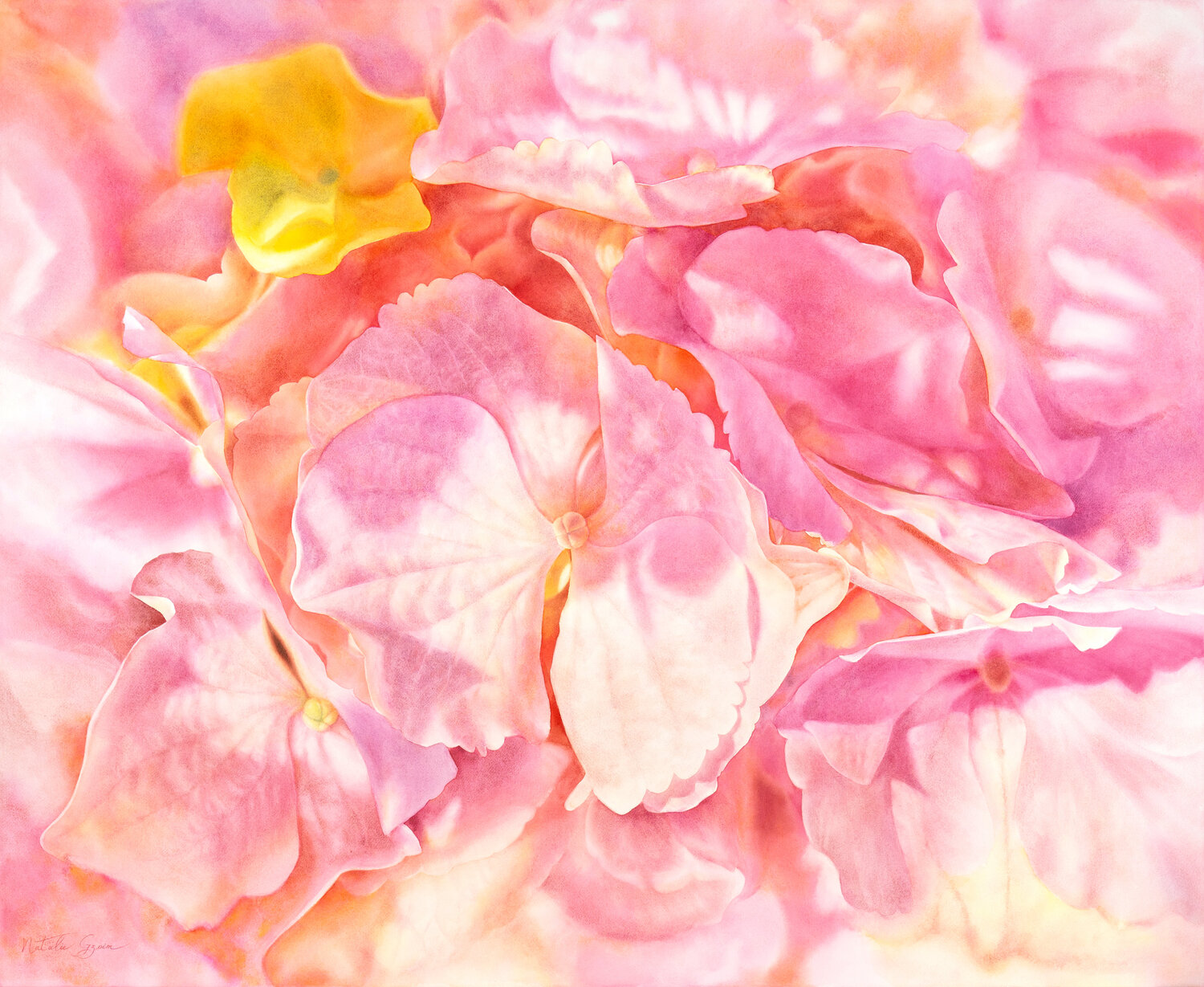 In the Morning Shade Natalie Gzoim Original painting for sale