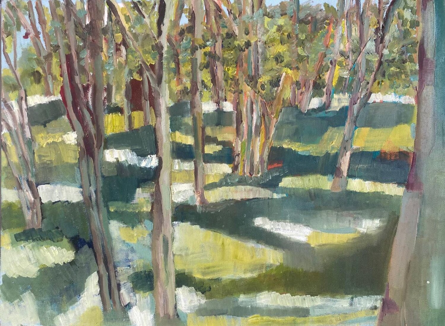 Eucaliptus Forest Loreto Zuñiga Ziliani Original painting for sale