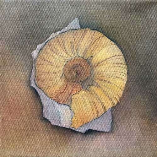 Fossil von Laura Agapie, Malerei kaufen auf Select