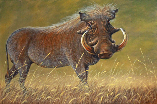 Mr Handsome by Joe Marais, Painting for Sale on Select