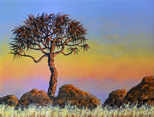 Quiver Tree von Joe Marais, Malerei kaufen auf Select