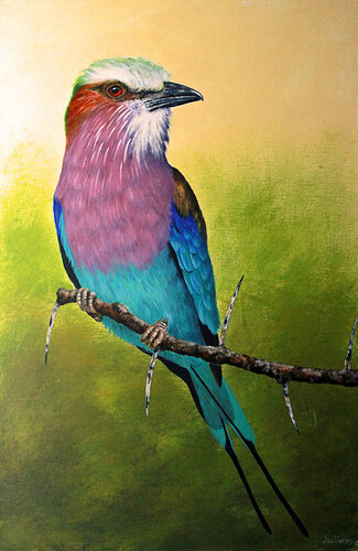 The Flying Rainbow - Lilac Breasted Roller von Joe Marais, Malerei kaufen auf Select