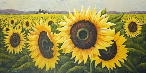 Sunflower Fields von Joe Marais, Malerei kaufen auf Select