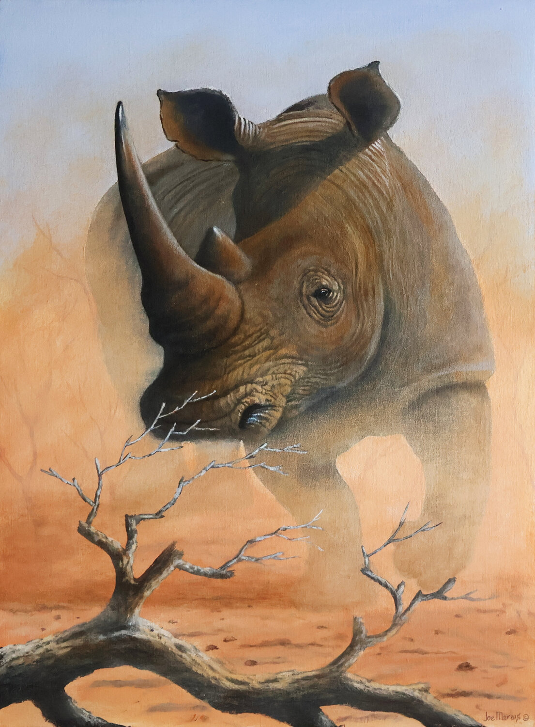 iMfolozi Giant - Rhino Dust Charge Joe Marais Originalgemälde zu verkaufen