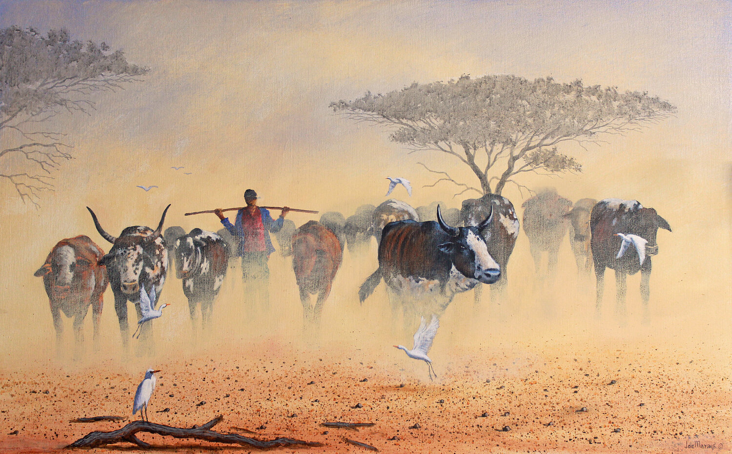 Coming home - Zulu Nguni Cattle Joe Marais Original painting for sale