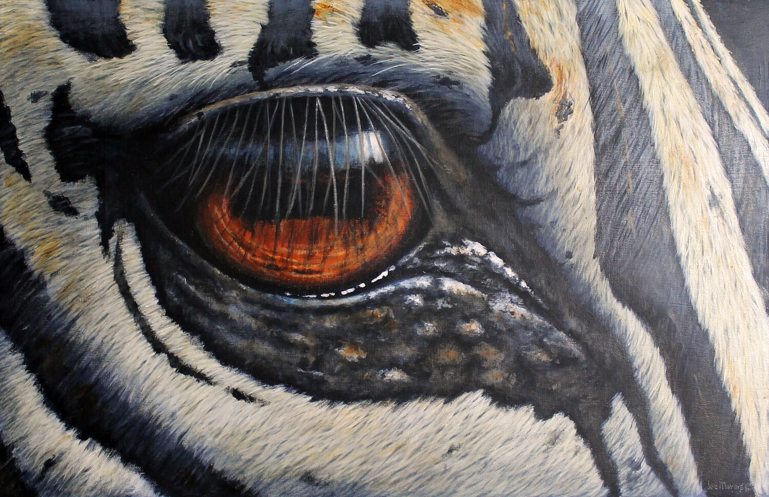Zebra Eye Close-Up Joe Marais Originalgemälde zu verkaufen
