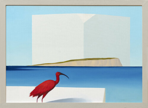 Ibis dell'isola by Cesare Reggiani, Painting for Sale on Select