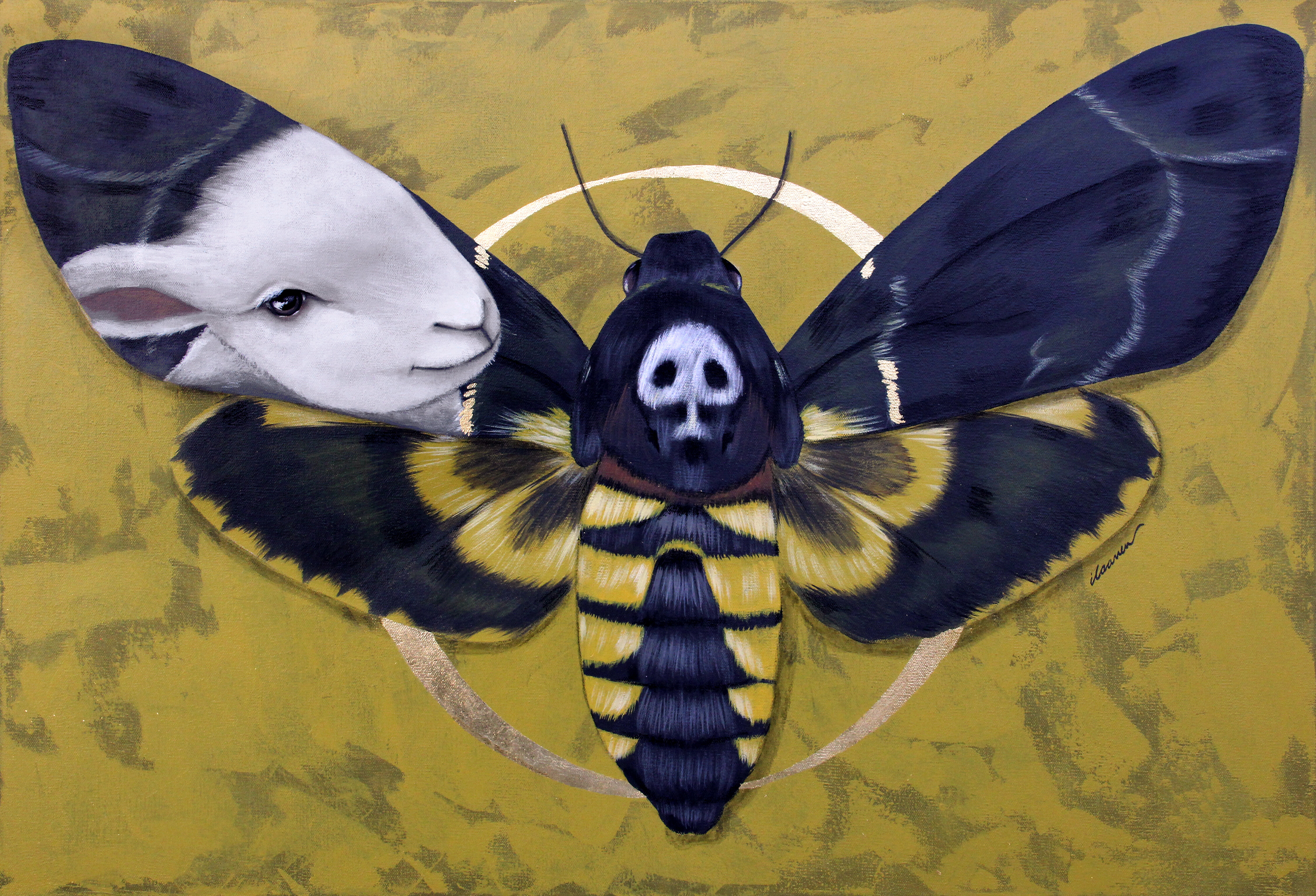 Topic Moth paintings