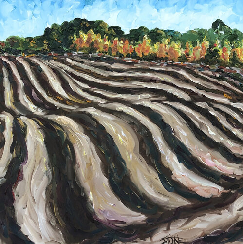 Furrows by Bill Stone, Painting for Sale on Select