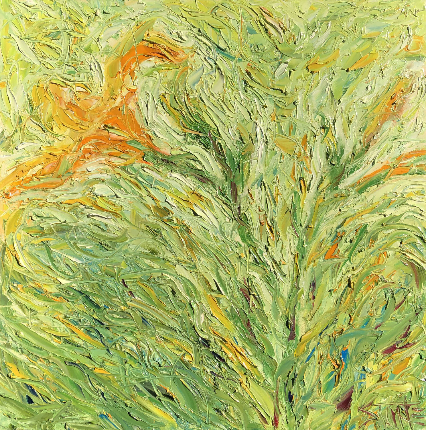 Funky Iris Bill Stone Original painting for sale
