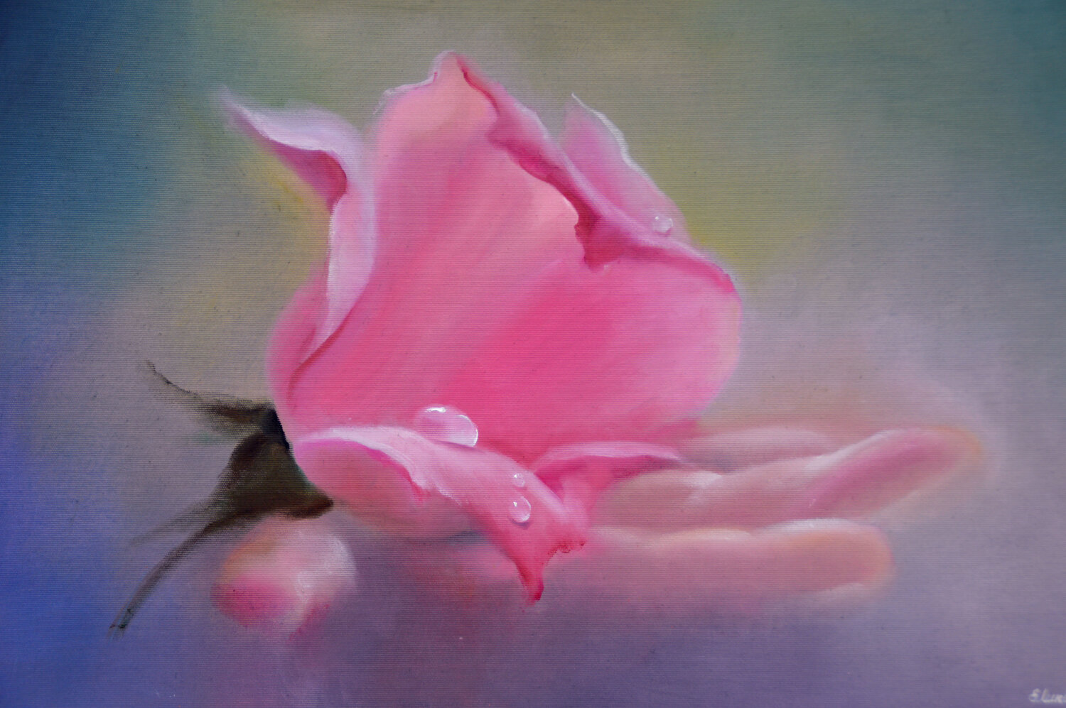 The Fragile Trace of a Rose Elena Lukina Original painting for sale