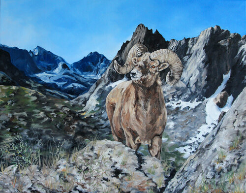 Bighorn of Wind River by Katrina Case, Painting for Sale on Select
