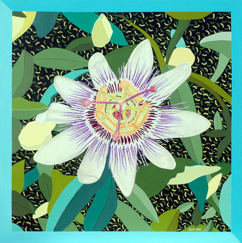 Passion Flower (Passiflora edulis) by Steve White, Painting for Sale on Select
