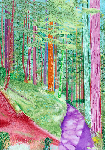 Olympic National Park, Washington State, USA by Steve White, Painting for Sale on Select