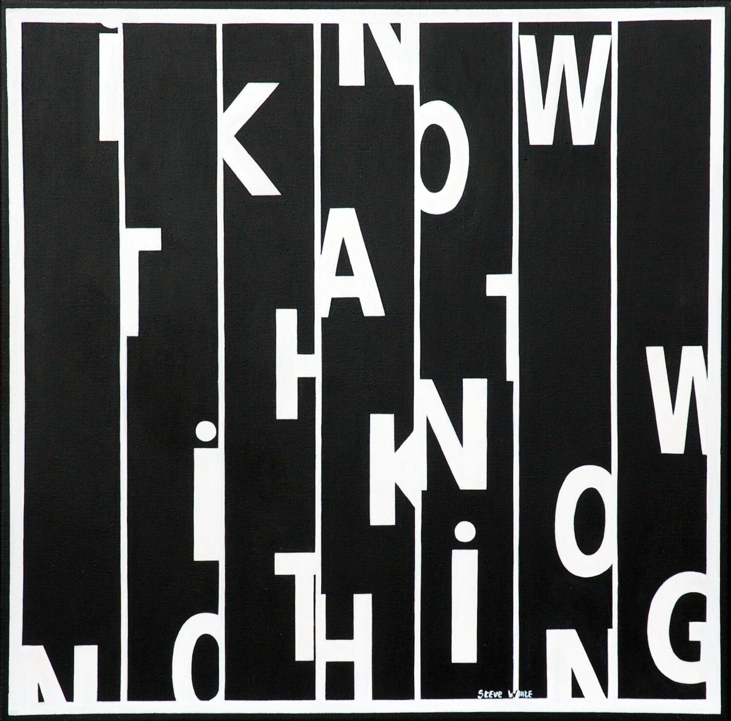 I Know That I Know Nothing Steve White Original painting for sale