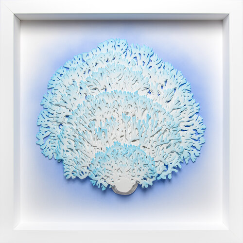Coral by Olga Skorokhod, Sculpture for Sale on Select