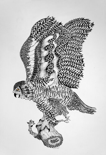 Snowy Owl I by Linnea Pergola, Drawing for Sale on Select