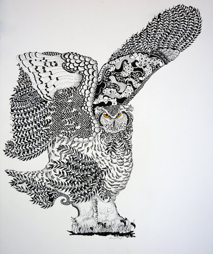 Snowy Owl II by Linnea Pergola, Drawing for Sale on Select