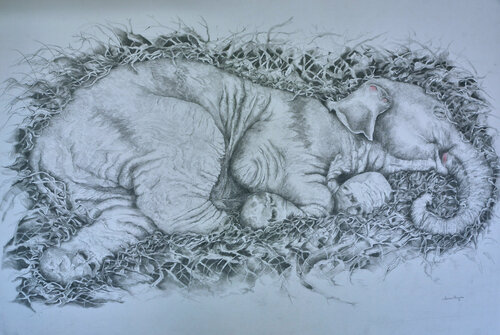 Sleeping Baby Anda by Linnea Pergola, Drawing for Sale on Select