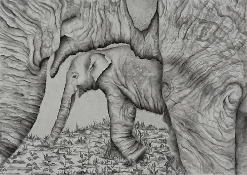 Baby Elephant and Mom in Thailand by Linnea Pergola, Drawing for Sale on Select