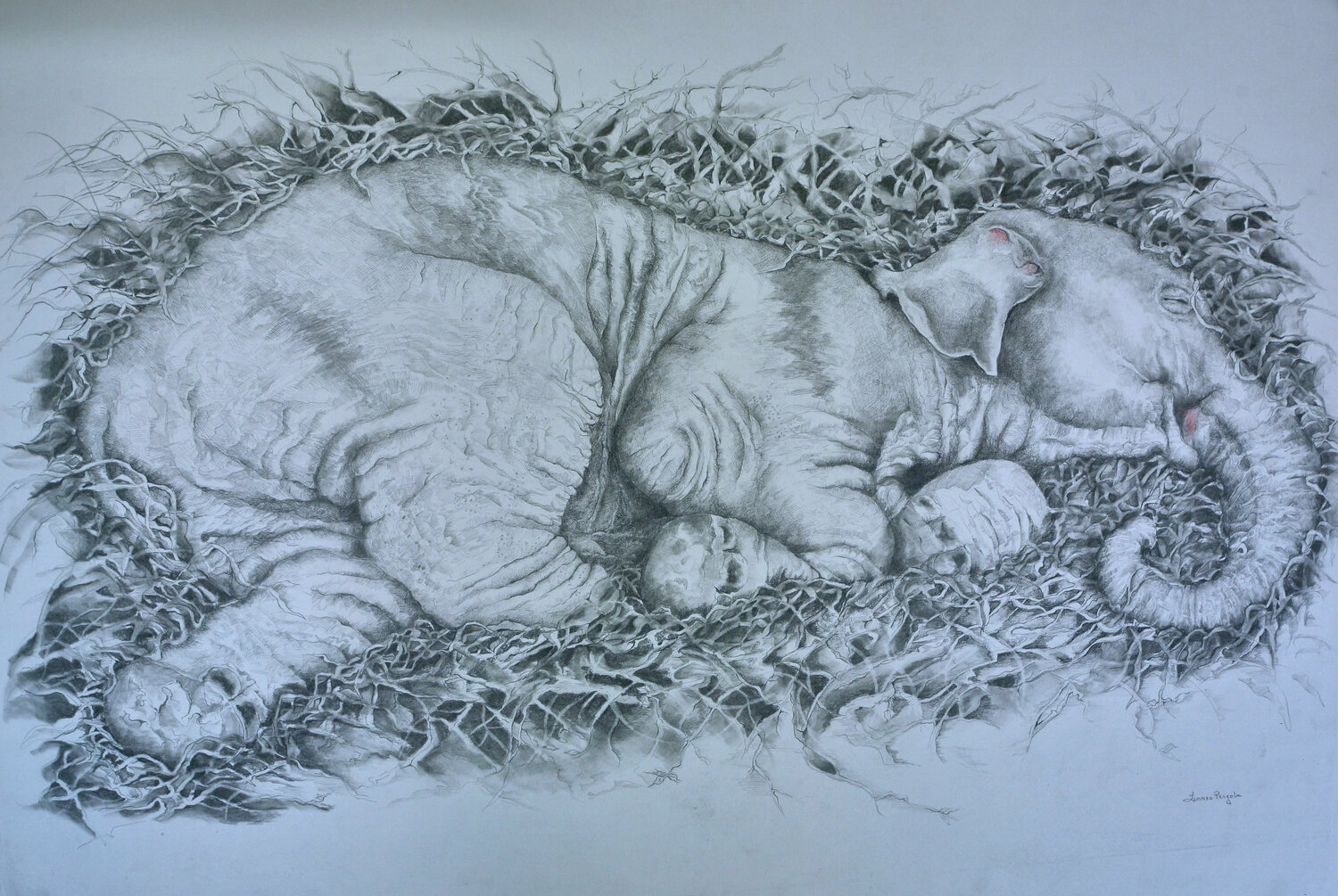 Sleeping Baby Anda Linnea Pergola Drawing for sale
