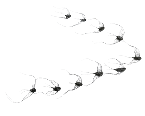 flock of birds (10 pieces) - Metal spatial installation No. IV by Maja Gajewska, Sculpture for Sale on Select