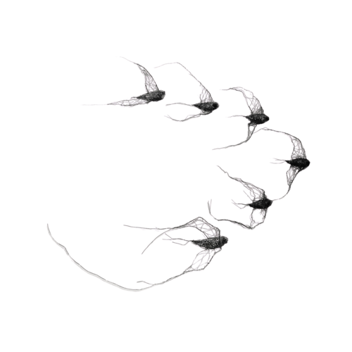 flock of birds (6 pieces) - Metal spatial installation No. XIII by Maja Gajewska, Sculpture for Sale on Select