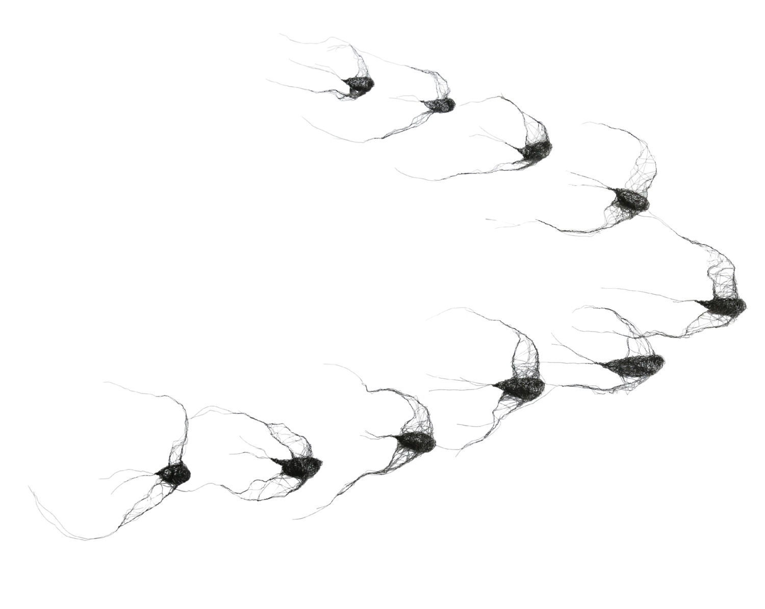 flock of birds (10 pieces) - Metal spatial installation No. IV Maja Gajewska Sculpture for sale
