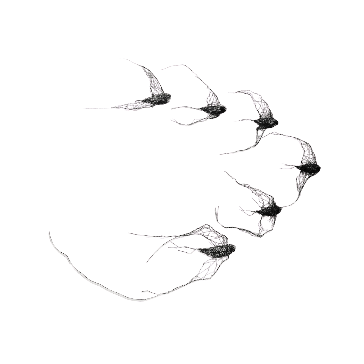 flock of birds (6 pieces) - Metal spatial installation No. XIII Maja Gajewska Sculpture for sale
