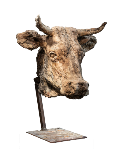 Kuhkopf by Wolfgang Eckert, Sculpture for Sale on Select