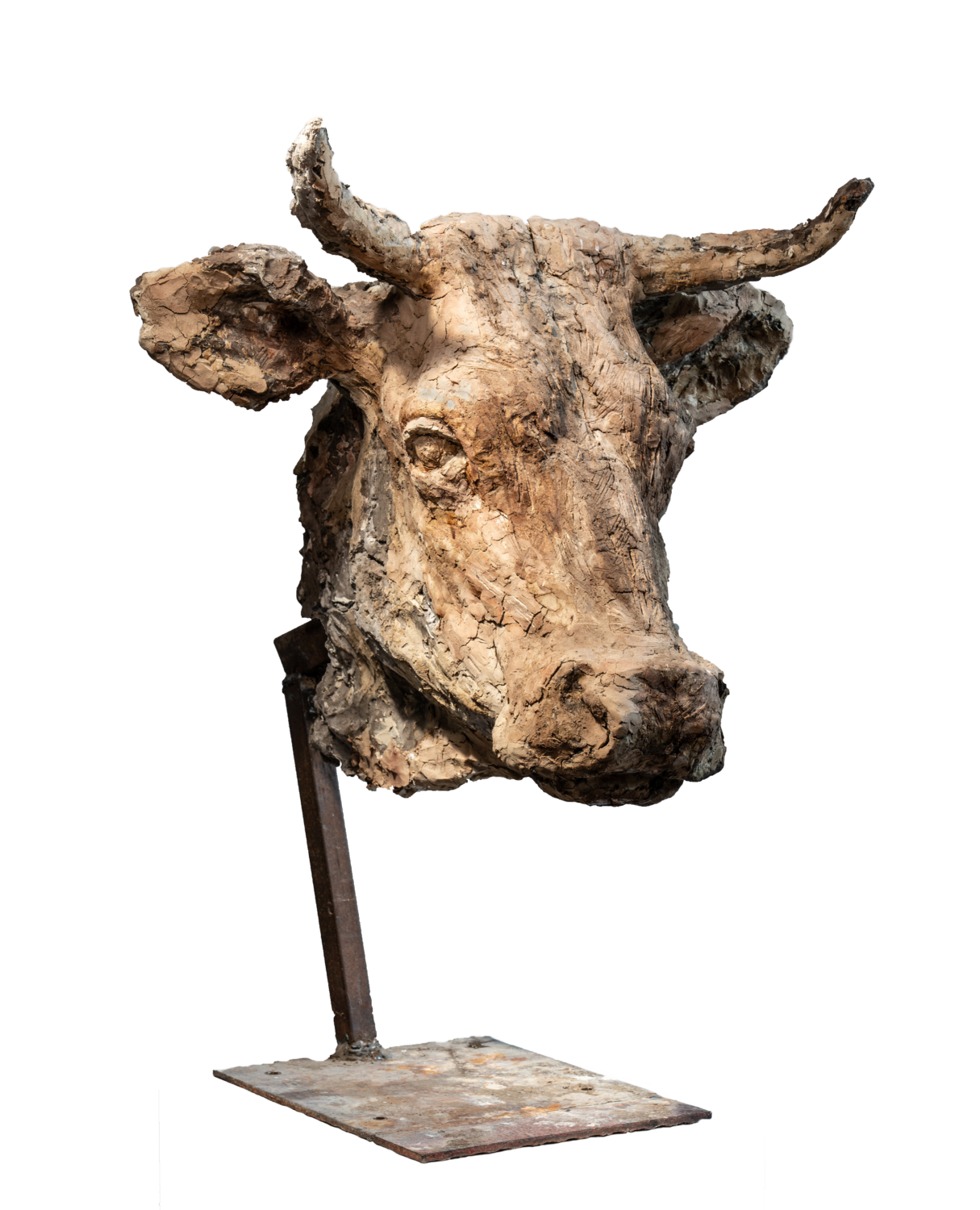 Kuhkopf Wolfgang Eckert Sculpture for sale